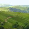 Sunol Regional Wilderness, California, United States