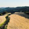 Las Trampas Regional Wilderness, California, United States