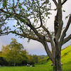 Garin/Dry Creek Pioneer Regional Park, California, United States