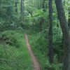 Beech Fork State Park, West Virginia, United States