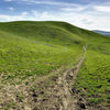 Briones Regional Park, California, United States