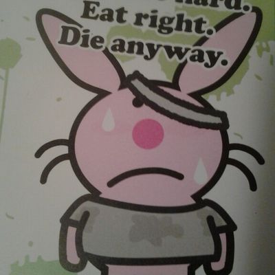 Lucy The Bunny