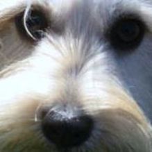 Mary Hood