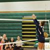 Haylee Holsopple