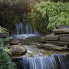 Inniswood Metro Gardens, Ohio, United States
