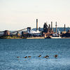Hamilton, Canada