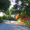 Mount Royal Park, Canada