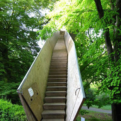 Markus Kohler
