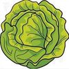 Cab Cabbage