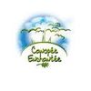 Canopée Enchantée, France