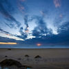 Waddell Creek, California, United States