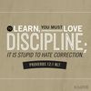 Darcie V.