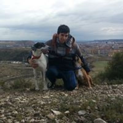 Daniel Hijazo
