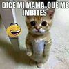 Jose Enrique Vite Millan