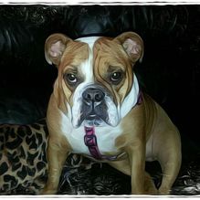 Brenda Canning