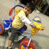 Prateek Dwivedi
