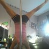 Tracy Anne