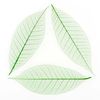 Staron R