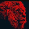 Mr_excellence !.