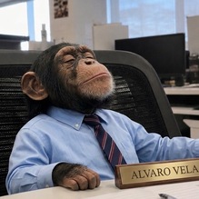 Alvaro Vela
