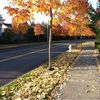 Auburn, Washington, United States