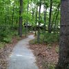 Girl Scout Camp SACY, New Jersey, United States