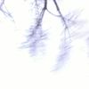 Claire Brightman