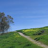 Menlo Park, California, United States