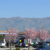 Milpitas, California, United States