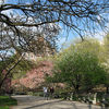 New York - Riverside Park, New York, United States