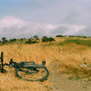 C. Chavez Park, California, United States