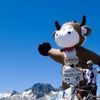 Will Cycliste