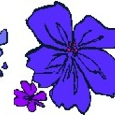 G B.