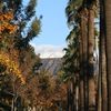 7615 Oakwood Lane, Highland, Ca 92346, California, United States
