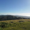 Khandaliah Reserve, New Zealand