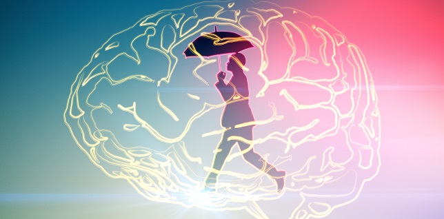 Cerebral Embolic Protection Use Low During TAVI, Not Tied to Stroke Risk - Vimarsana News
