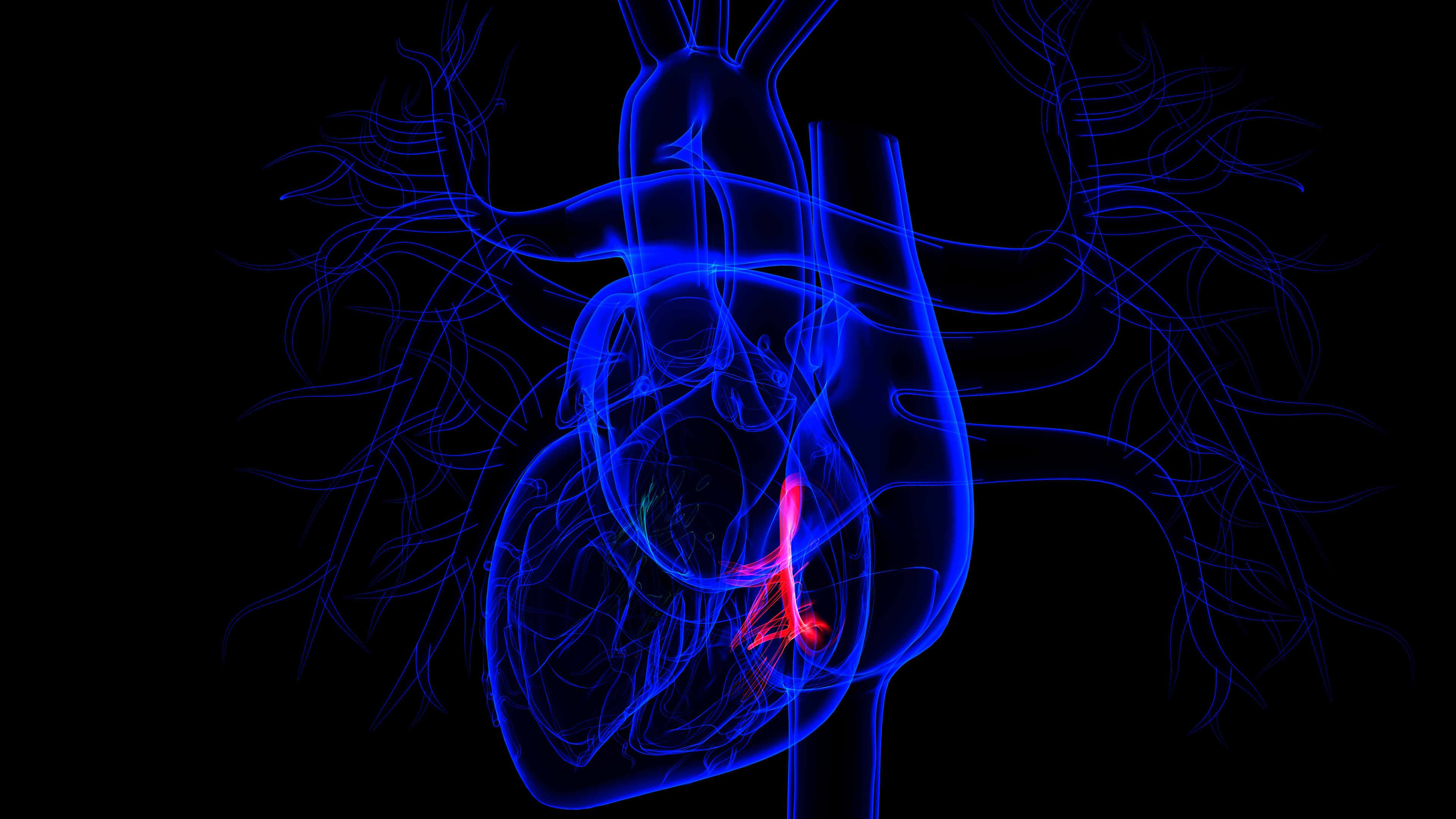 Tricuspid Trio: TRISCEND, CLASP TR, and TriBAND Studies Show Advances - Vimarsana News