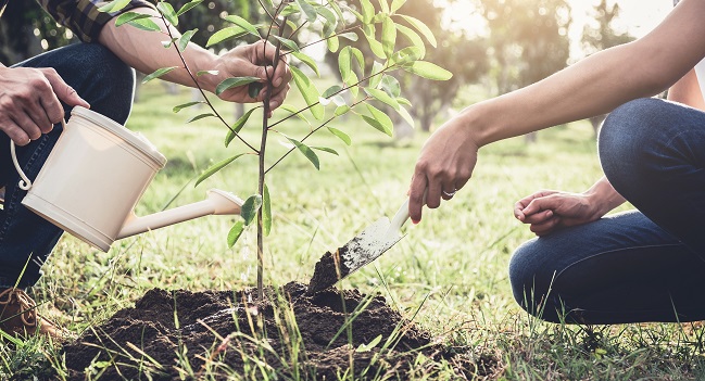 Studies Reveal Surprising Benefits of Smoking Cessation and 'Greenness' - Vimarsana News