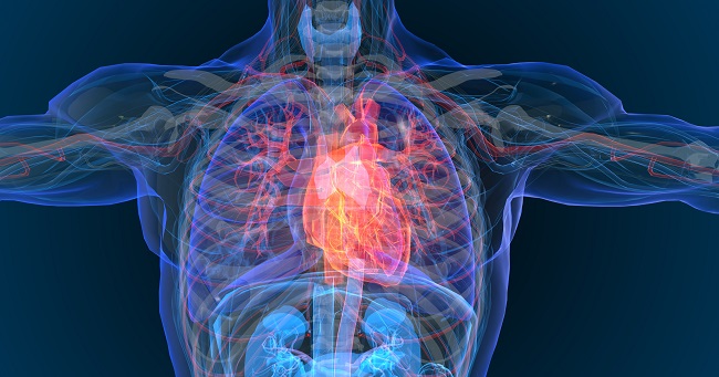 LAVA ECMO: Early Data Point to Hemodynamic Benefits, Safety - Vimarsana News