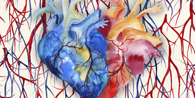 Case by Case, a Portrait Emerges of COVID-19’s Cardiovascular Fingerprint