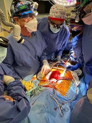 Part of the Xenoheart Team just after reperfusion of the xenograft.