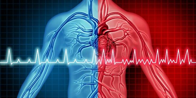Ablation Cuts A Fib Recurrences Burden Through 5 Years In Cabana
