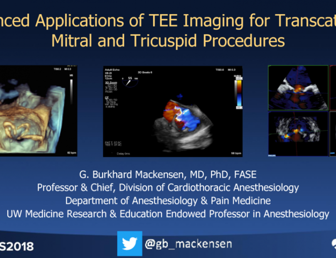 Advanced Applications of TEE Imaging for Transcatheter Mitral and