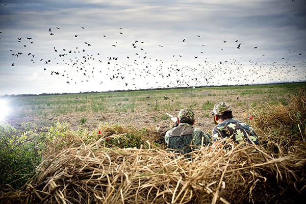 hunting-license.org blog: Crucial Tips From Hunting-License.org for Avoiding Common Hunting Mistakes hunting-license.org blog: Crucial Tips From Hunting-License.org for Avoiding Common Hunting Mistakes