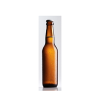 Beer (Craft or Domestic)