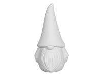 Lars Gnome