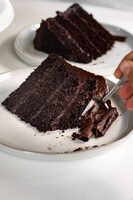 Classic Chocolate Cake Slice