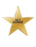 10" GOLD STAR for Display at A.C.T.