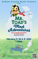 Show Poster: Mr. Toad's Mad Adventures