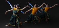 Costume Rental - Program A
